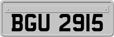 BGU2915