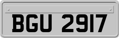 BGU2917
