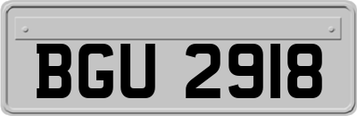 BGU2918
