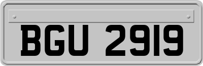 BGU2919