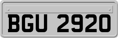 BGU2920