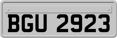 BGU2923