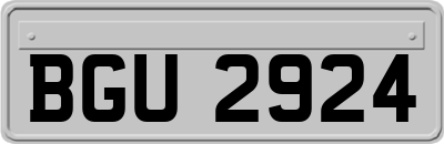 BGU2924