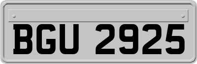 BGU2925