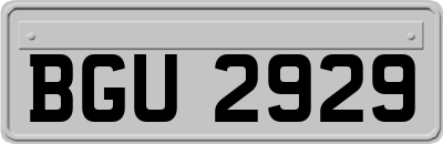 BGU2929