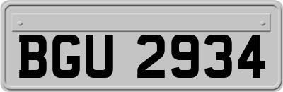 BGU2934