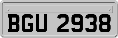BGU2938