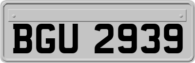 BGU2939