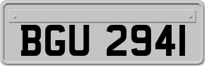 BGU2941