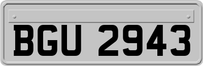 BGU2943