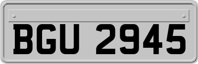 BGU2945