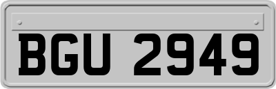 BGU2949