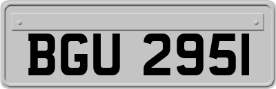 BGU2951