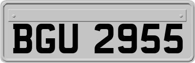 BGU2955
