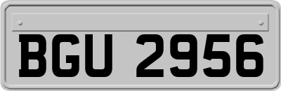 BGU2956