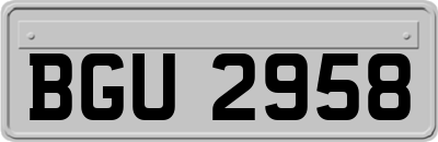 BGU2958