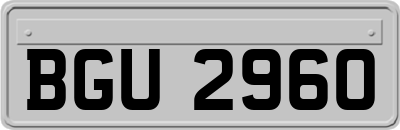 BGU2960