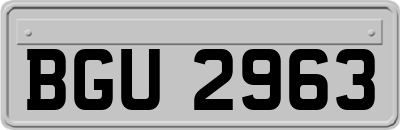 BGU2963