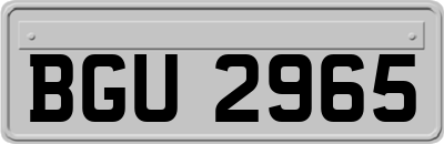 BGU2965