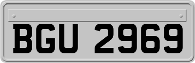 BGU2969