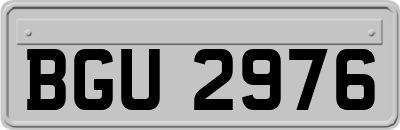 BGU2976