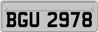 BGU2978