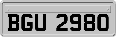 BGU2980