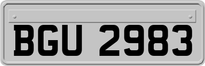 BGU2983