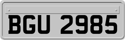 BGU2985