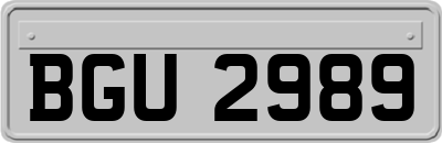 BGU2989