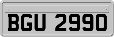 BGU2990