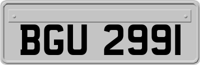 BGU2991