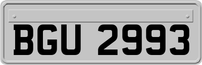 BGU2993