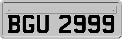 BGU2999