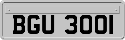 BGU3001