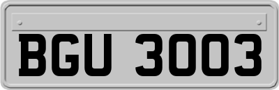 BGU3003