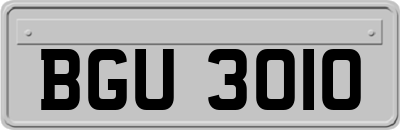 BGU3010