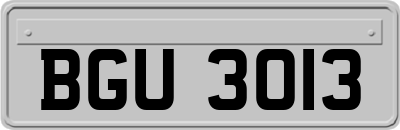 BGU3013