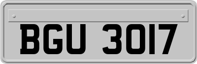 BGU3017