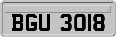 BGU3018