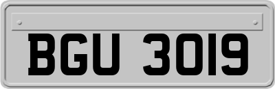 BGU3019