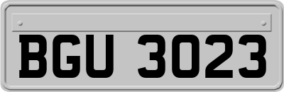 BGU3023