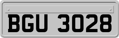 BGU3028