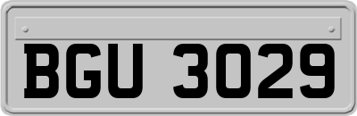 BGU3029
