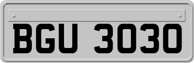 BGU3030
