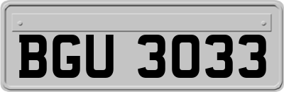 BGU3033