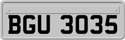 BGU3035