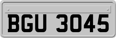 BGU3045
