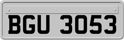 BGU3053