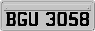 BGU3058